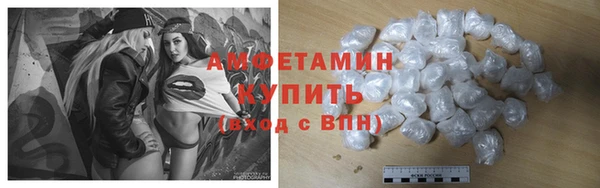 мдпв Верея