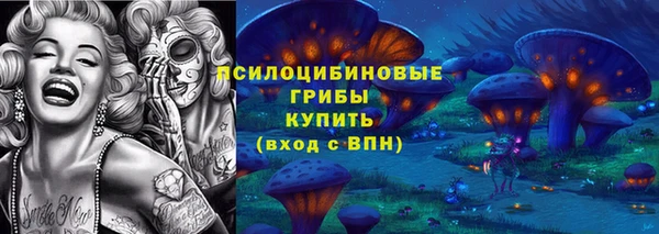 соль ск Верхнеуральск