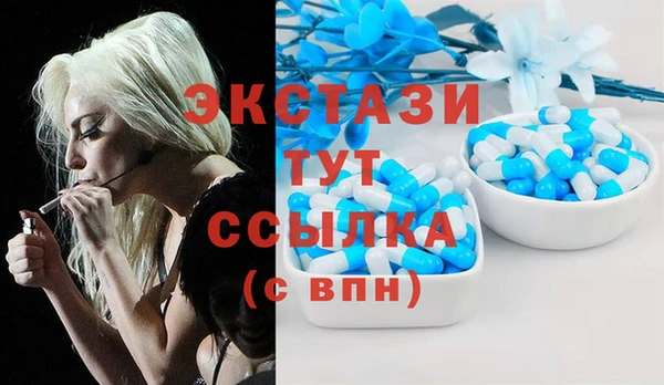 мдпв Верея