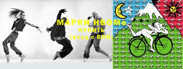мдпв Верея